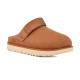  UGG Goldenstar Clog Chestnut