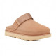  UGG Goldenstar Clog Driftwood