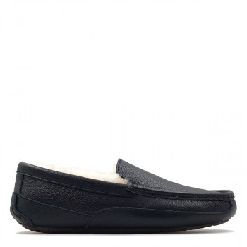 Мужские UGG Ascot Leather Black