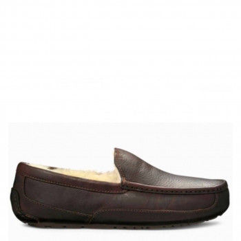 Мужские UGG Ascot Leather Chocolate