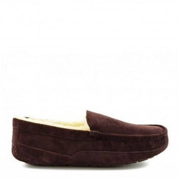 Мужские UGG Ascot Chocolate