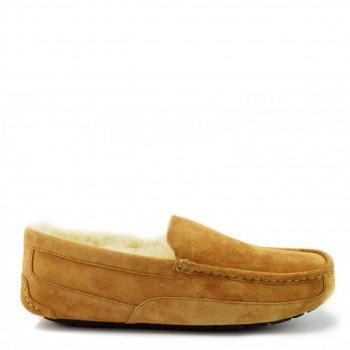 Мужские UGG Ascot Chestnut