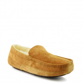 Мужские UGG Ascot Chestnut